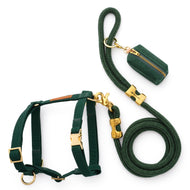 Evergreen Harness Walk Set from The Foggy Dog