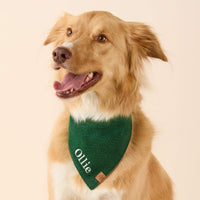 #Modeled by Kina (60lbs) in Large