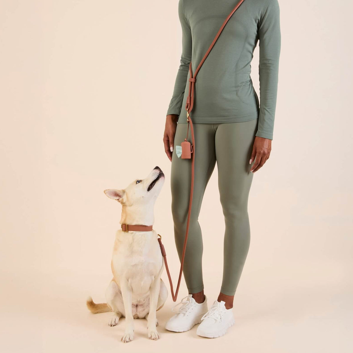 #Kaia (45lbs) in a Medium collar and Standard leash