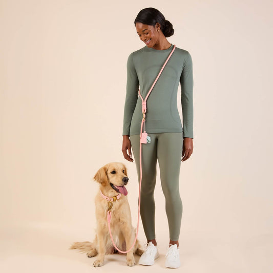 #Lucky (62lbs) in a Medium collar and Standard leash