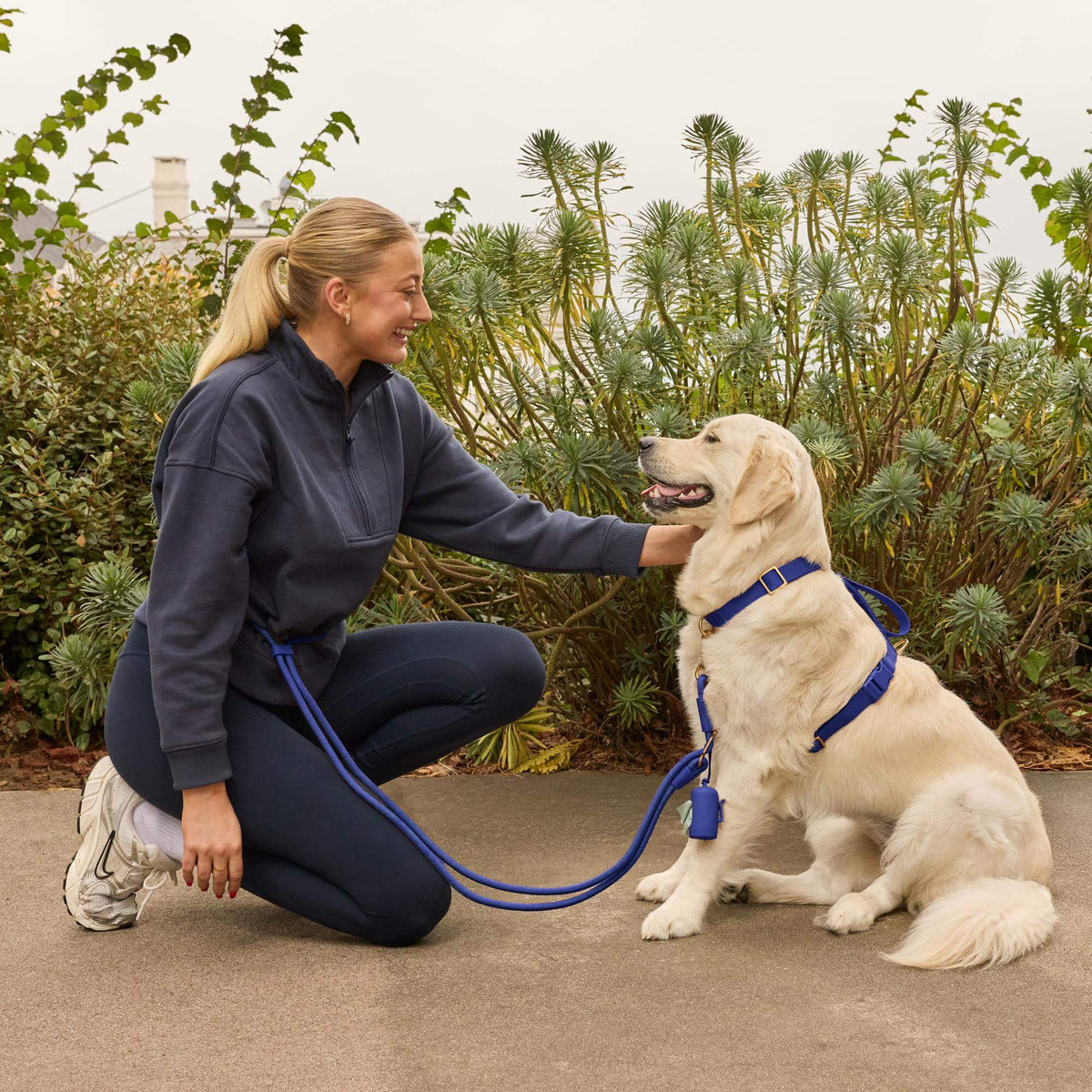 #Olive (65lbs) in a Large harness and Standard leash
