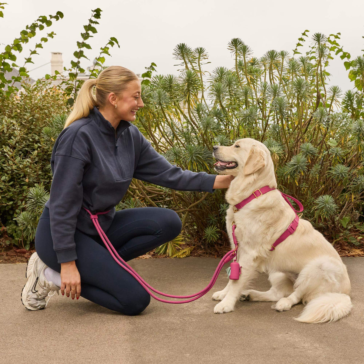 #Olive (65lbs) in a Large harness and Standard leash
