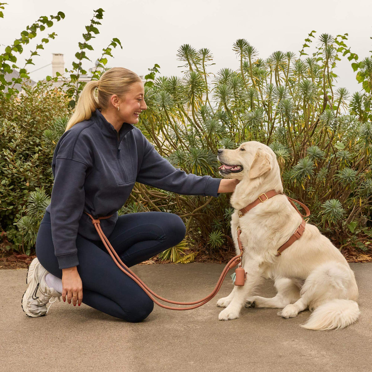 #Olive (65lbs) in a Large harness and Standard leash
