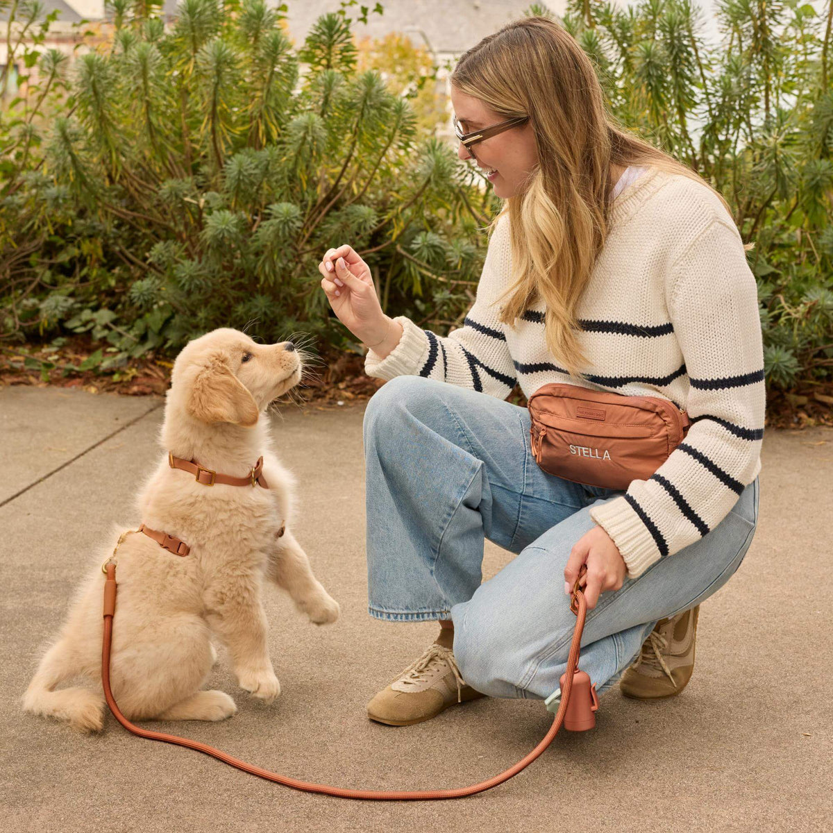 #Waverly (15lbs) in a Small harness and Standard leash