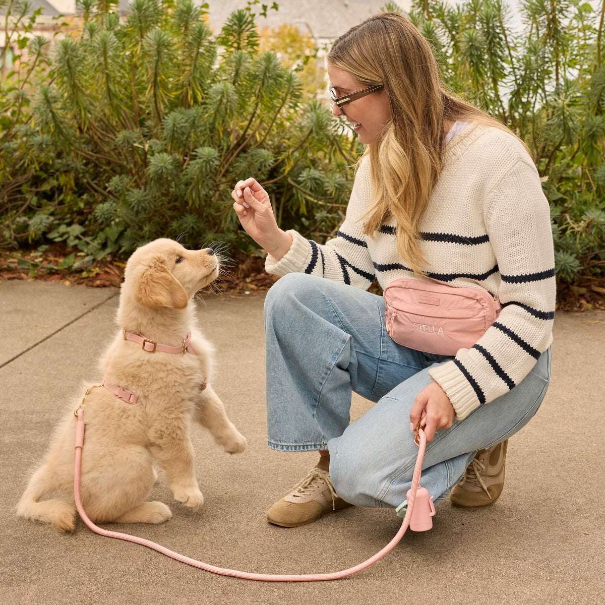 #Waverly (15lbs) in a Small harness and Standard leash