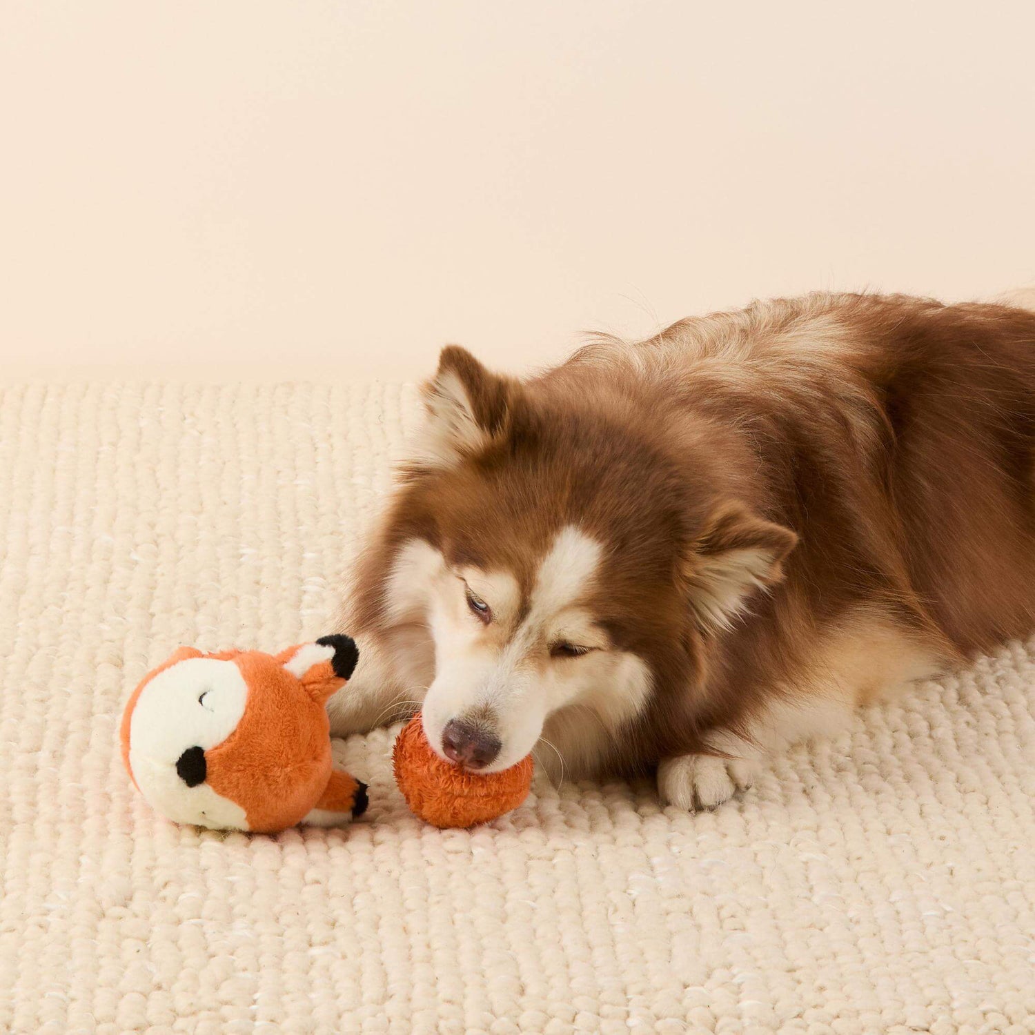 Fox 2-in-1 Bounce Dog Toy from The Foggy Dog