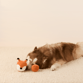 Fox 2-in-1 Bounce Dog Toy from The Foggy Dog