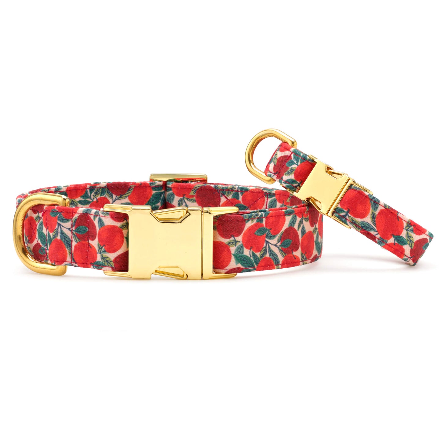 Apple of My Eye Dog Collar