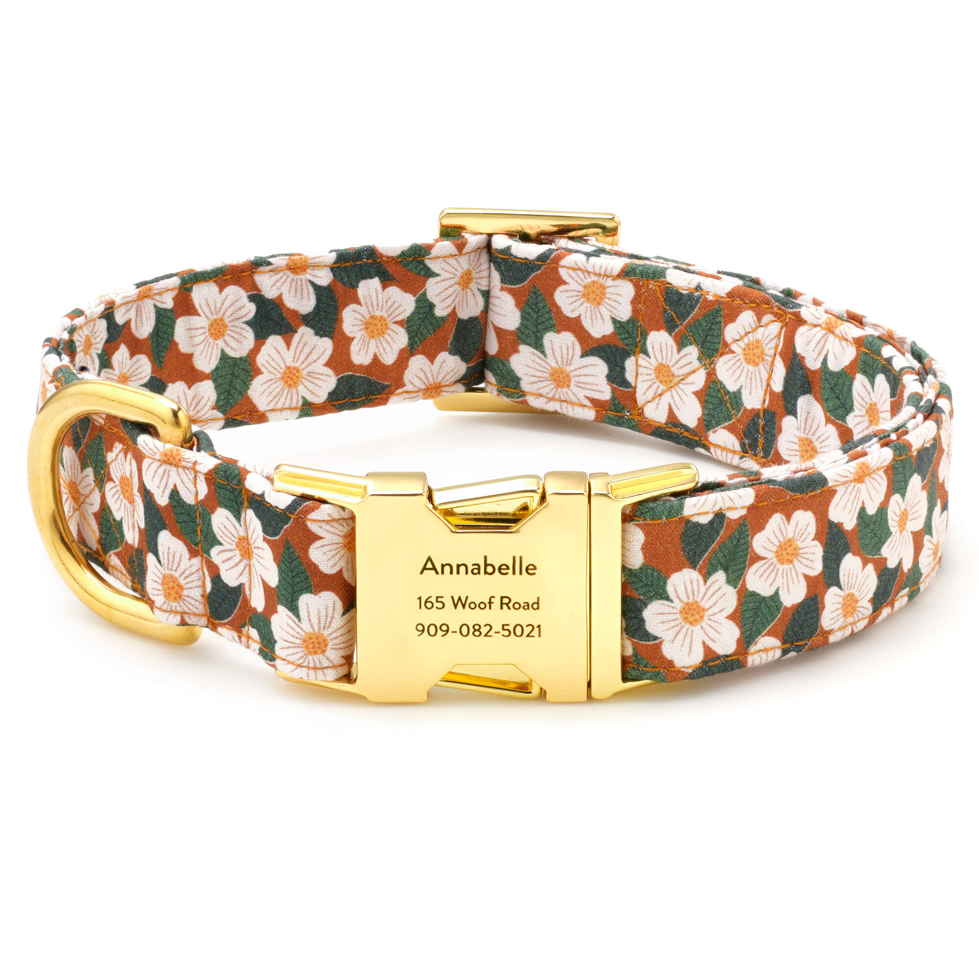 Adjustable Dog Collars | Stylish Pet Accessories | The Foggy Dog