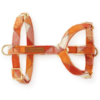 Pumpkin Spice Plaid Flannel Dog Harness from The Foggy Dog