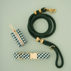 Evergreen Gingham Collar Walk Set from The Foggy Dog