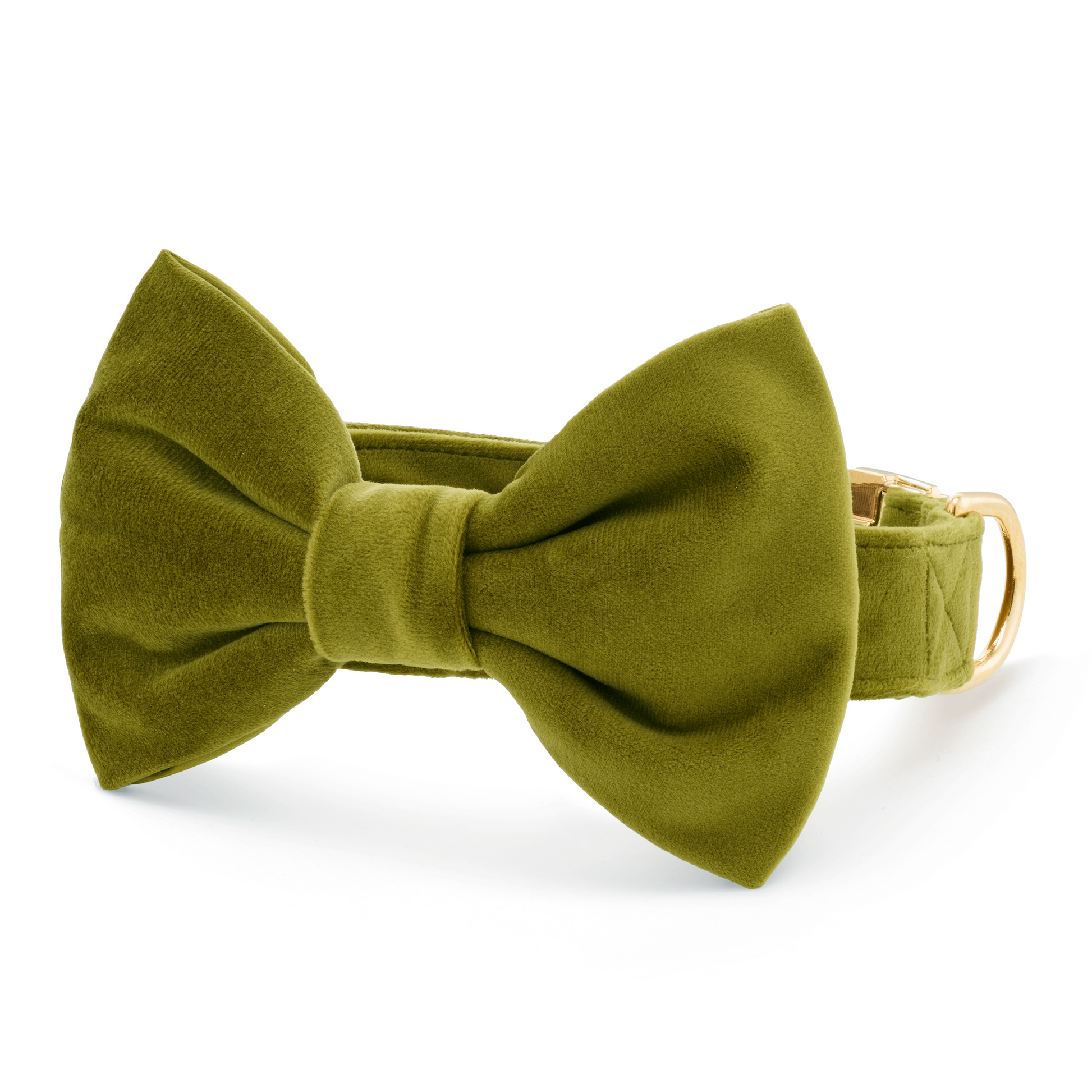 Olive Velvet Bow Tie Collar from The Foggy Dog