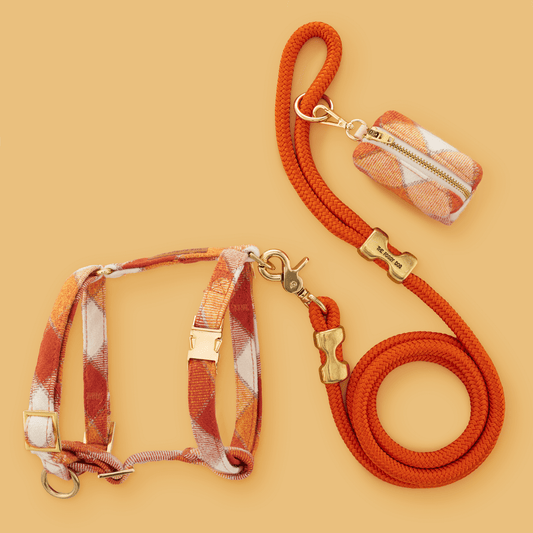 Pumpkin Spice Plaid Flannel Harness Walk Set view 2