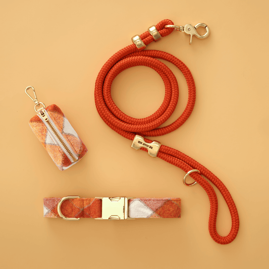 Pumpkin Spice Plaid Flannel Collar Walk Set from The Foggy Dog