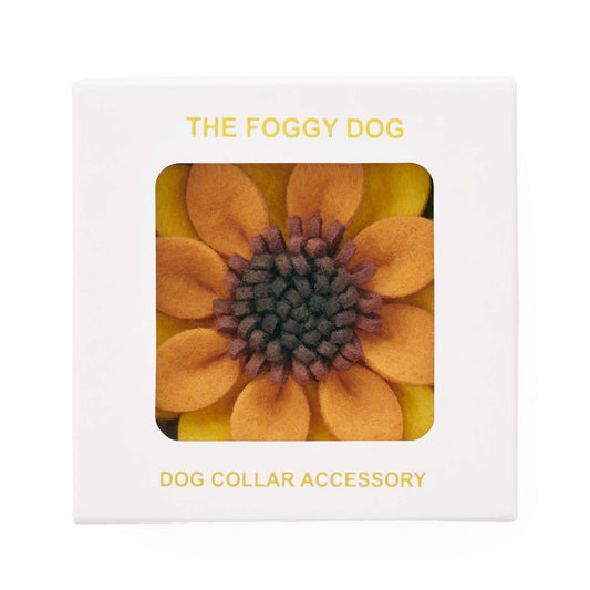 Sunflower Dog Collar Flower from The Foggy Dog
