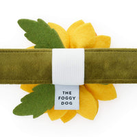 Sunflower Dog Collar Flower Set from The Foggy Dog