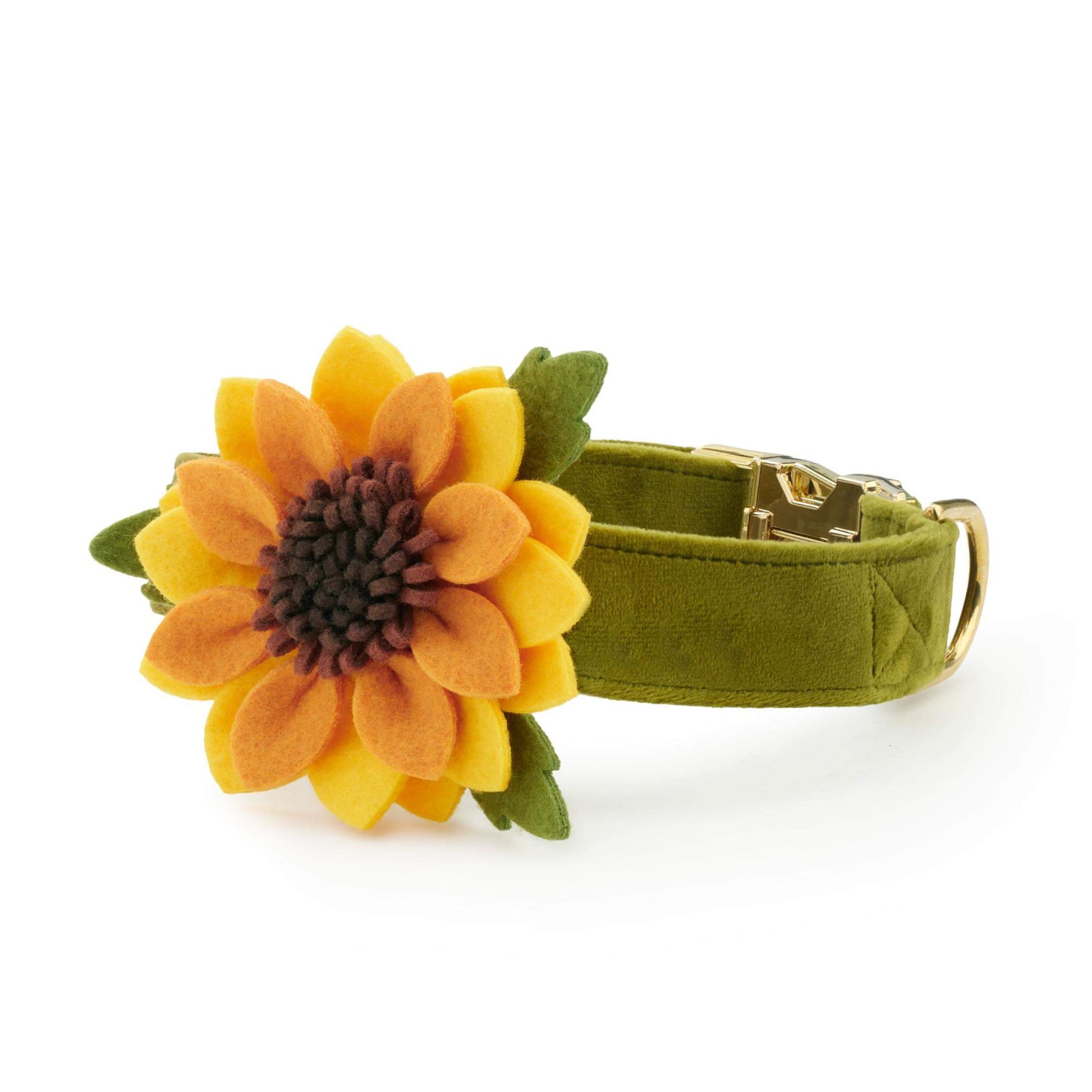 Sunflower Dog Collar Flower Set from The Foggy Dog