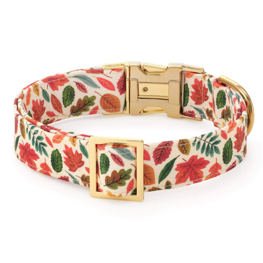 Falling Leaves Dog Collar from The Foggy Dog