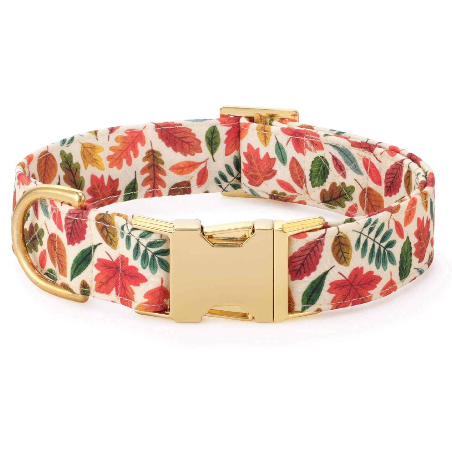 Falling Leaves Dog Collar from The Foggy Dog