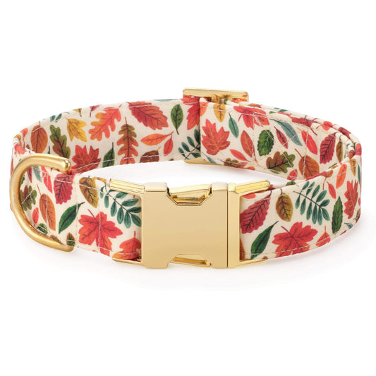 Falling Leaves Dog Collar from The Foggy Dog