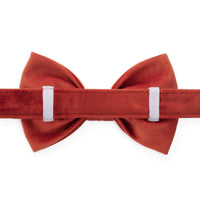 Football Embroidered Dog Bow Tie from The Foggy Dog