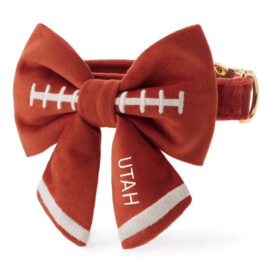 Football Embroidered Lady Bow Collar from The Foggy Dog