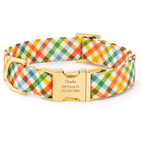 Harvest Gingham Dog Collar from The Foggy Dog