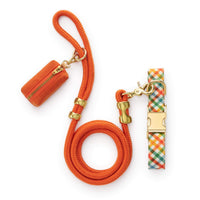 Harvest Gingham Collar Walk Set from The Foggy Dog