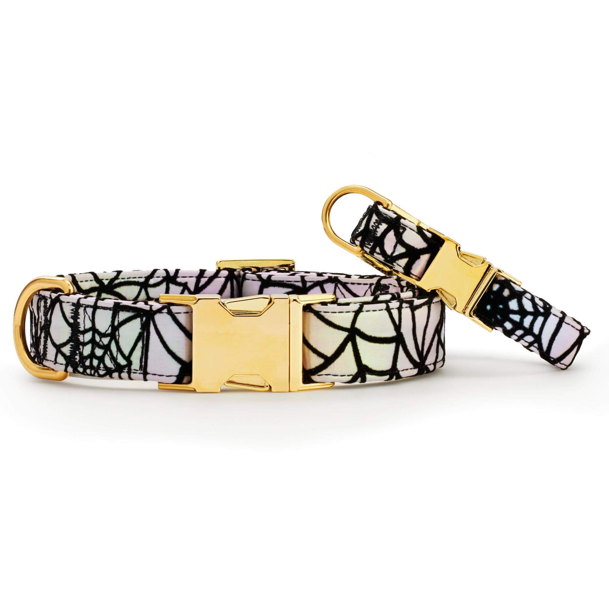 Holographic Spiderweb Dog Collar from The Foggy Dog