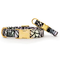 Holographic Spiderweb Dog Collar from The Foggy Dog