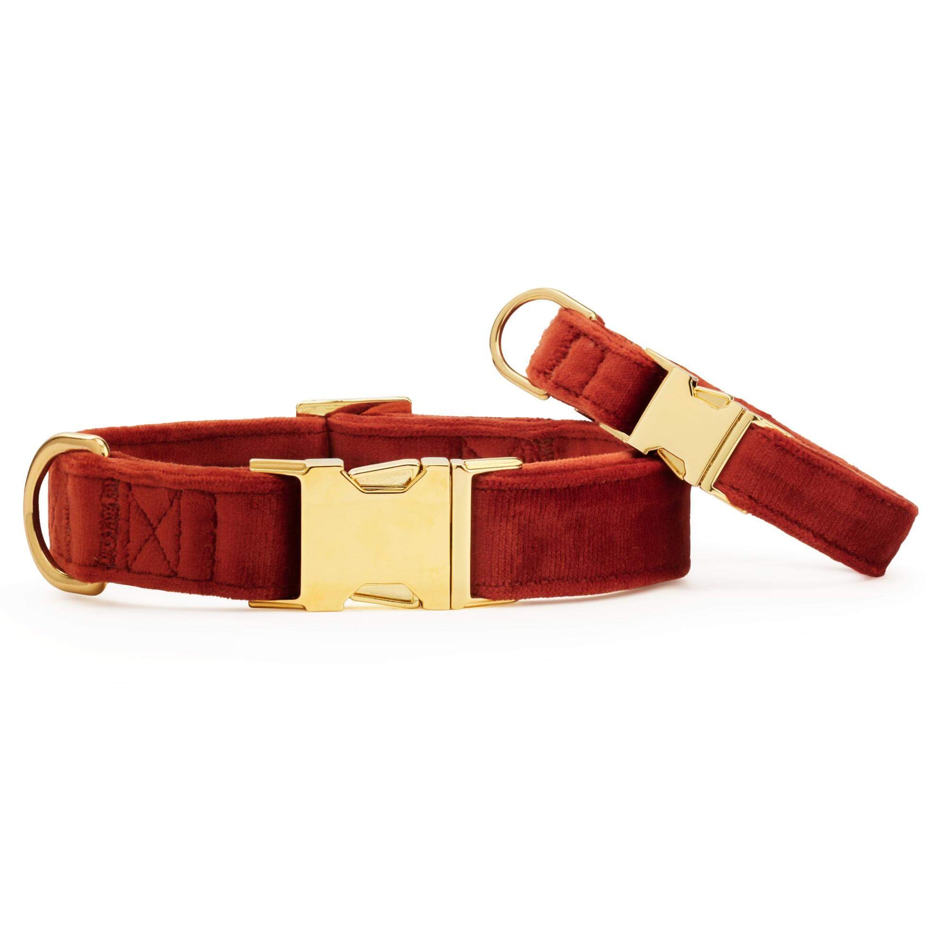 Nutmeg Velvet Dog Collar from The Foggy Dog