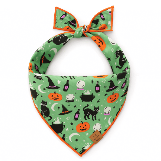 Spellbound Reversible Dog Bandana from The Foggy Dog