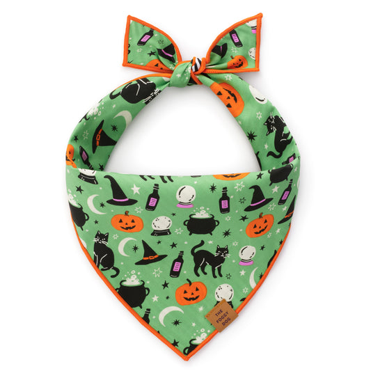 Spellbound Reversible Dog Bandana from The Foggy Dog