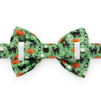 Spellbound Bow Tie Collar from The Foggy Dog