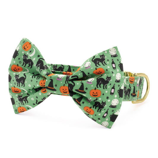 Spellbound Bow Tie Collar from The Foggy Dog
