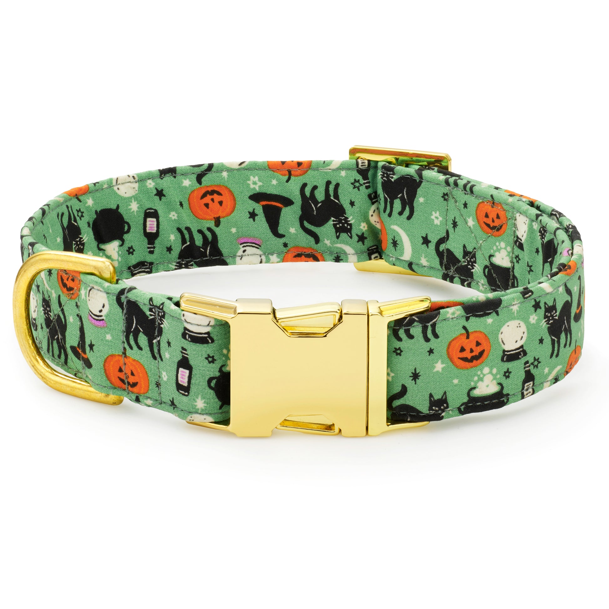 Spellbound Dog Collar from The Foggy Dog
