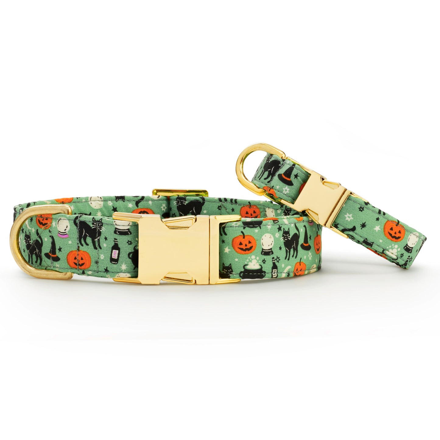 Spellbound Dog Collar from The Foggy Dog