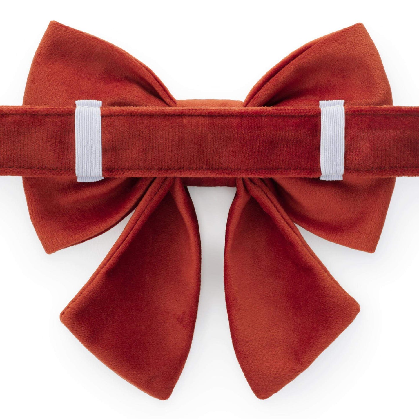 Sunflower Embroidered Lady Bow Collar from The Foggy Dog