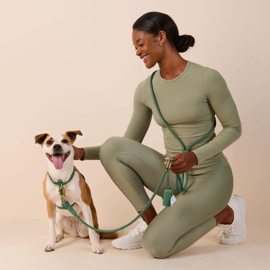 Active Everyday Harness Walk Set (XS/S), Fern view 2