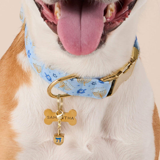 Festival of Lights Dog Collar view 2