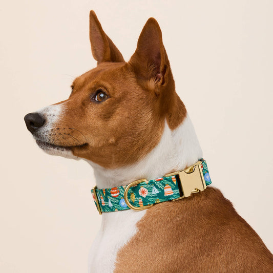 #Modeled by Ricky (30lbs) in Medium