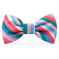 Festive Stripe Dog Bow Tie
