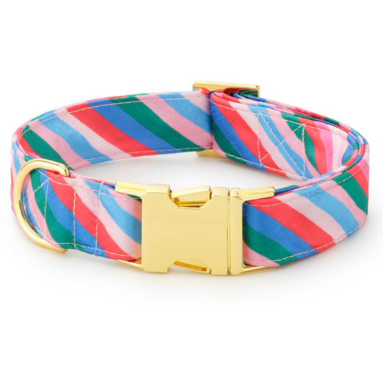 Festive Stripe Dog Collar
