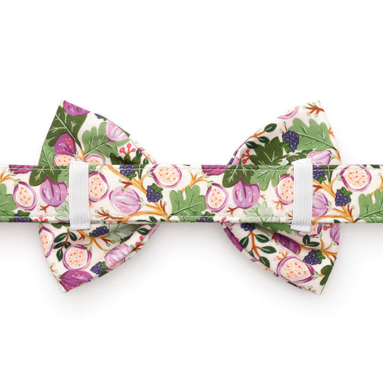 Figs and Berries Bow Tie Collar