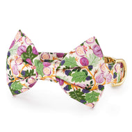Figs and Berries Bow Tie Collar