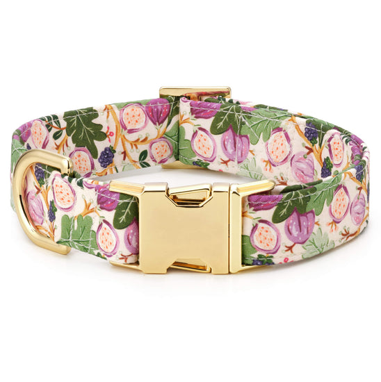 Figs and Berries Dog Collar