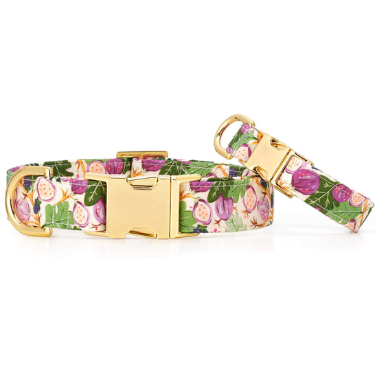 Figs and Berries Dog Collar
