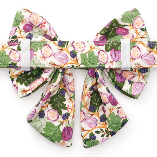 Figs and Berries Lady Bow Collar