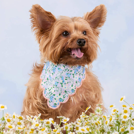 #Modeled by Marley (8lbs) in Small