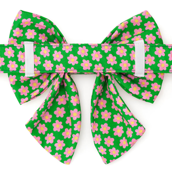 Flower Power Lady Bow Collar from The Foggy Dog